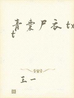 青囊尸衣 txt
