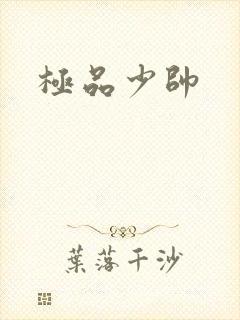 极品少帅