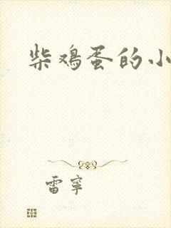 柴鸡蛋的小说