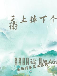 天上掉下个影卫卫