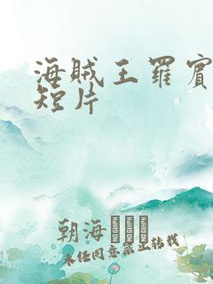 海贼王罗宾被h短片