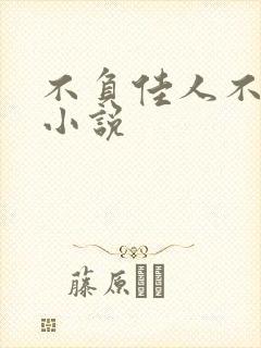 不负佳人不负卿小说