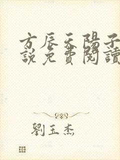 方辰天阳子的小说免费阅读