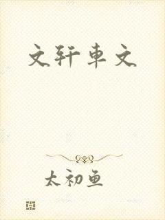 文轩车文
