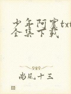 少年阿宾txt全集下载
