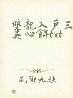 双龙入户三人行夹心饼txt