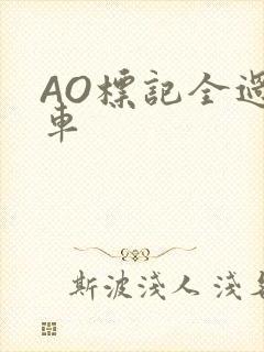 AO标记全过程车