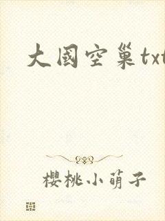 大国空巢txt