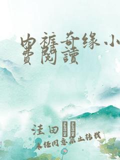 内裤奇缘小说免费阅读