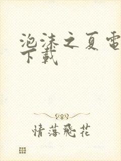 泡沫之夏电视剧下载