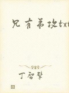兄有弟攻txt