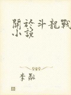 关于斗龙战士的小说
