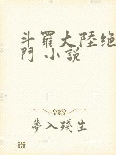 斗罗大陆绝世唐门 小说