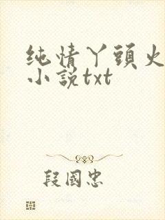 纯情丫头火辣辣小说txt