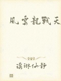 风云龙战天下