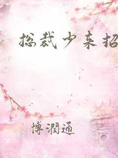 总裁少来招惹我