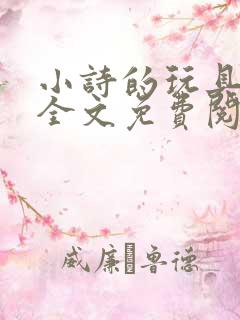 小诗的玩具日记全文免费阅读