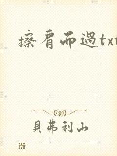 擦肩而过txt