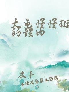 大龟慢慢挺进我的体内