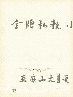 金牌私教 小说
