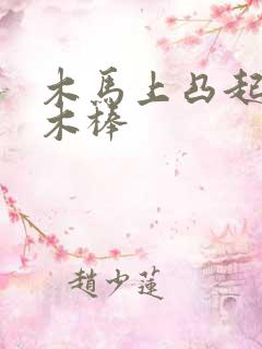 木马上凸起电动木棒