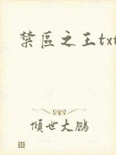 禁区之王txt