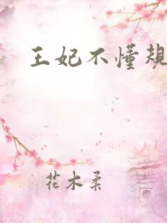 王妃不懂规矩