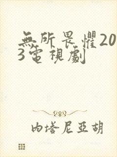 无所畏惧2023电视剧