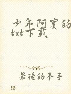 少年阿宾的故事txt下载