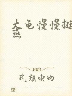 大龟慢慢挺进张燕