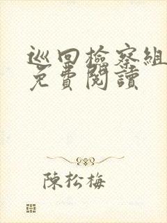 巡回检察组小说免费阅读