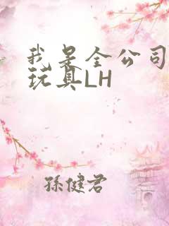 我是全公司发泄玩具LH