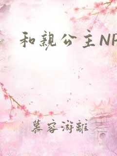 和亲公主NPC