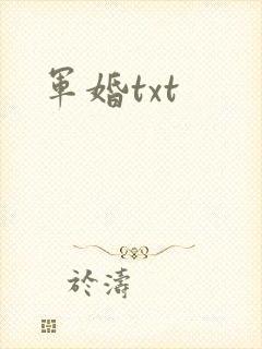 军婚txt