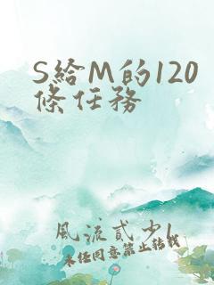 S给M的120条任务
