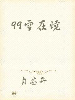 99雪在烧
