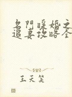 名门暖婚之权爷追妻攻略全文免费阅读