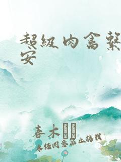 超级肉禽系统保安