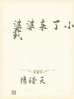 婆婆来了小说下载