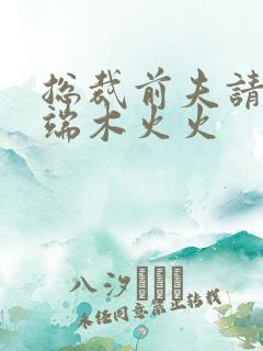 总裁前夫请自重端木火火