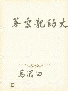 华云龙的大宝贝