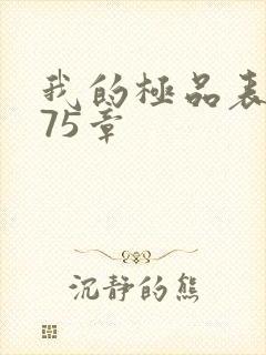 我的极品表嫂第75章