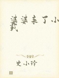 婆婆来了小说下载