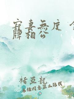 宠妻无度  金牌相公