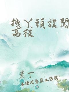 拽丫头误闯男子高校