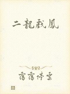 二龙戏凤