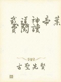 武道神帝叶辰免费阅读