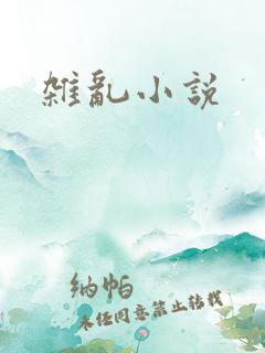 杂乱小说