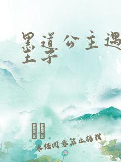 黑道公主遇冷酷王子