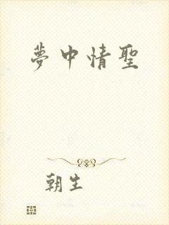 梦中情圣